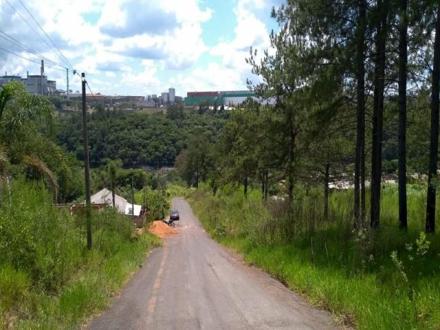 Terreno para Venda em Telêmaco Borba - 4