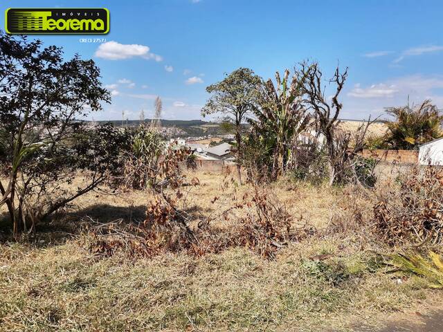 #519TLC - Área para Venda em Telêmaco Borba - PR - 3