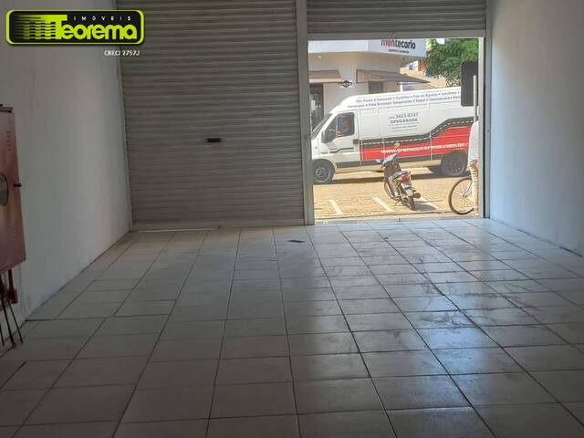 #510TLC - Loja para Locação em Telêmaco Borba - PR - 3