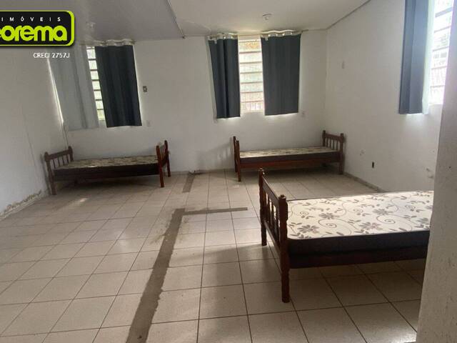 Sala para Locação em Telêmaco Borba - 5