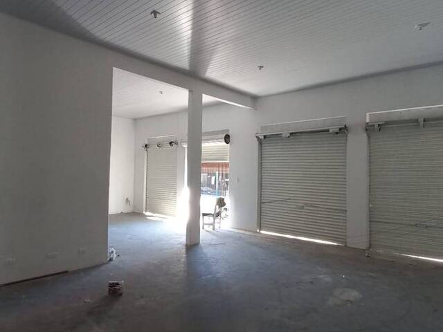 Sala para Locação em Telêmaco Borba - 4