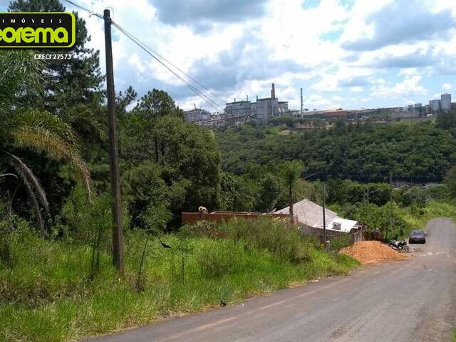 #553 - Área para Venda em Curitiba - PR - 2