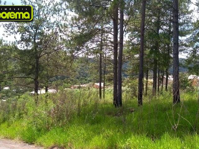 #553 - Área para Venda em Curitiba - PR - 3