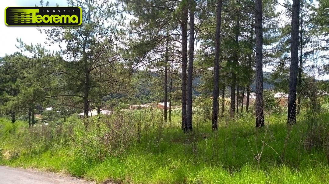 Terreno, 327 m² - Foto 5